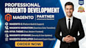 do magento 2 migration upgrade design integration and hyva customization