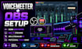 professionally setup obs and voicemeeter for streamers