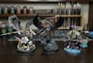 paint your miniatures and armies to a decent level