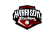 design unique baseball team logo
