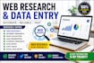 do professional web research and data collection excel