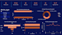 perform ecommerce sales analysis and create interactive dashboard