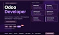 develop custom odoo modules, fix bugs, and apis integrations