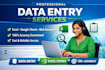 accurate data entry, excel