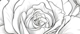 design feminine fine line tattoos