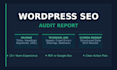 wordpress SEO full custom audit report for your website
