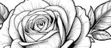 draw custom dragon tattoo designs