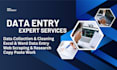 do accurate data entry, data collection, web scraping exciting data mining