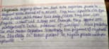 do professionally handwriting assignment job