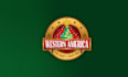 design christmas light installation removal company logo