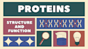 create detailed biology workbooks