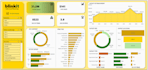 build a professional interactive dashboard