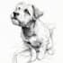 draw your pet into awesome scribble art