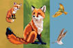 draw cute cartoon animal character