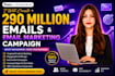 send 1,000,000 bulk email blast, email marketing and email campaign
