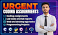 do urgent coding assigned tasks and projects in java, c, cpp, csharp, r, python