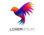 make logo of any type