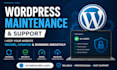 maintain, update and secure your wordpress website