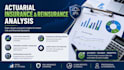 do actuarial insurance and reinsurance analysis