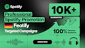 do professional germany spotify promotion with targeted campaign