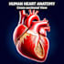 do medical and scientific illustrations