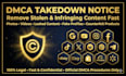 submit dmca takedown notice to remove copyright infringement