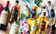 design wine label, rum label, gin label and beverage can packaging