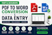 do fast and accurate PDF to word conversion and data entry