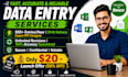 do excel data entry, admin tasks and PPT design in 24 hrs