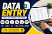 do data entry, excel cleanup, web research and copy paste