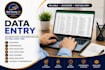 do data entry, excel cleanup, web research and copy paste