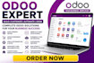 design odoo website, odoo ecommerce odoo  customization, odoo setup, odoo module