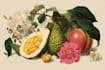 create botanical mystic logo design illustration