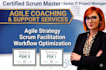 assist as a certified scrum master  senior IT project manager
