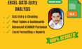do fastest data entry, copy paste and web research