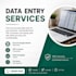 do fast and accurate data entry, excel, copy paste and typing work