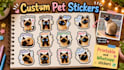 create a x12 pack custom pet stickers