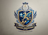 do a modern luxury heraldic crest logo design
