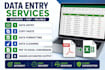 provide professional data entry and excel services