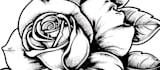 create matching couple tattoo designs