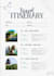 create a personalized travel itinerary