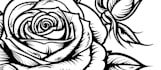 design feminine tattoo illustrations