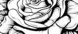 draw custom dragon tattoo concepts