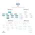 create a professional organizational chart for you