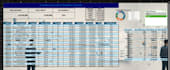 create a professional excel dashboard and data visualization