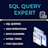 write sql queries and do database cleaning professionally