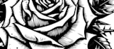 create detailed black and grey tattoo designs