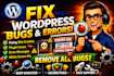 fix bugs and errors in your wordpress website