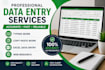 do excel data entry and copy paste tasks