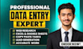 do fast  data entry and copy paste task